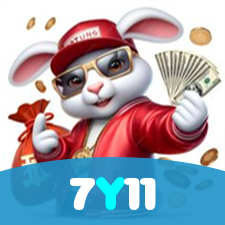 Segurança no 7Y11