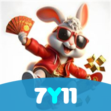 Segurança no 7Y11