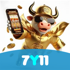 Login no 7Y11