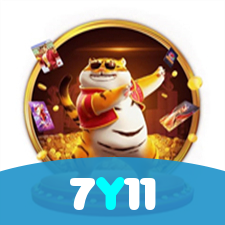 Login no 7Y11